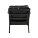 Noir Arm Chair | Hoft Home